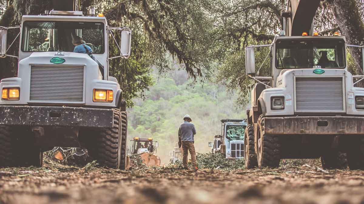Land Clearing Services in Central FL | Affordable & Safe | Tree Trimming Services in Daytona Beach, FL | Florida Foliage | Tree Removal | Storm Tree Prep in Central FL