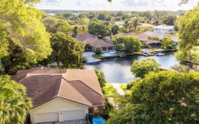 Residential Tree Trimming Daytona Beach FL
