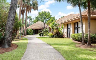 Tree Trimming in Daytona Beach FL | Trusted Experts
