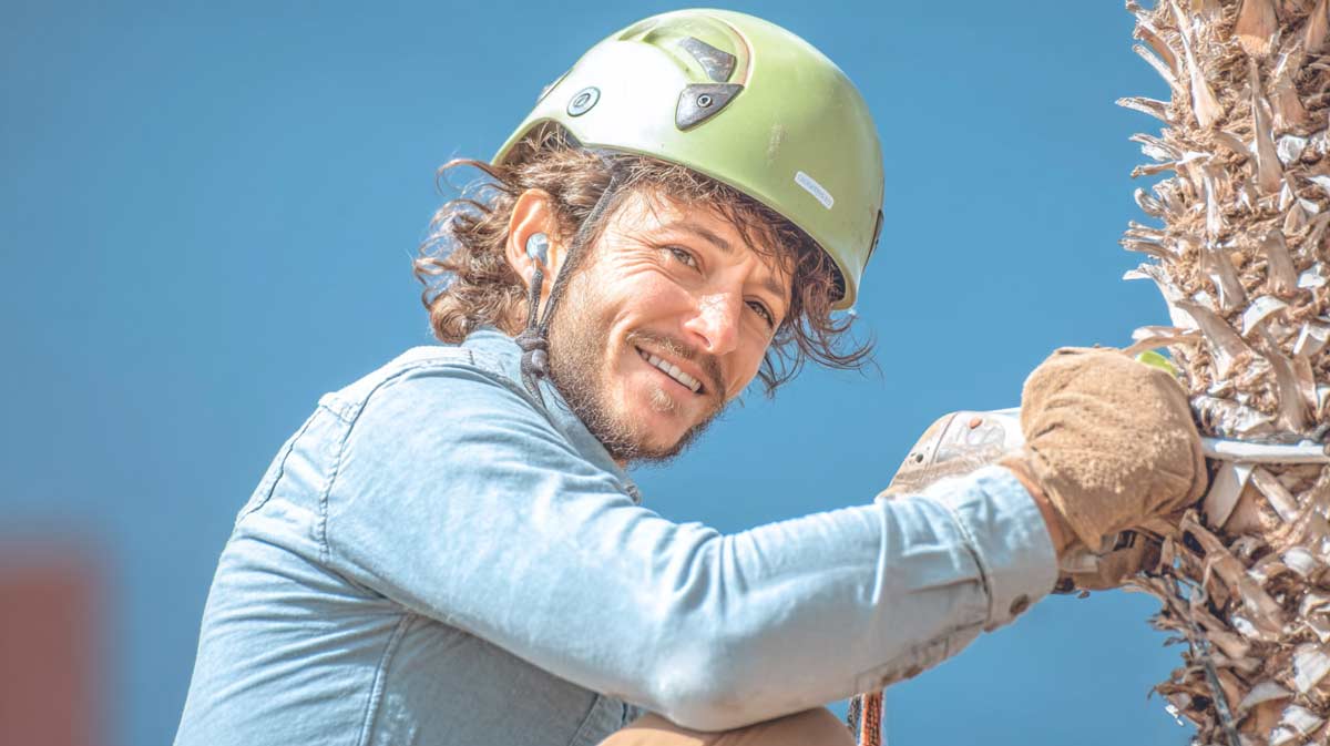 Trusted Arborists Available in Central FL | Affordable & Safe | Tree Trimming Services in Daytona Beach, FL | Florida Foliage | Tree Removal | Storm Tree Prep in Central FL