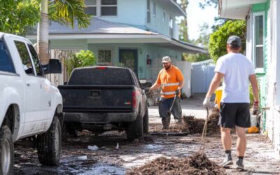 Yard Clearing Pros in Daytona Beach, FL
