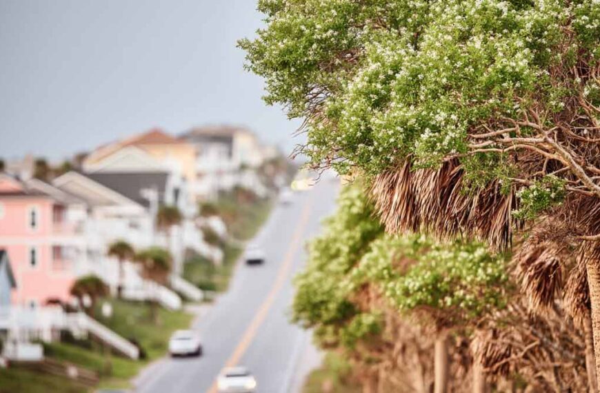 Emergency Hurricane Tree Services in Daytona Beach, FL | Tree Trimming Services in Daytona Beach, FL | Florida Foliage | Tree Removal | Storm Tree Prep in Central FL