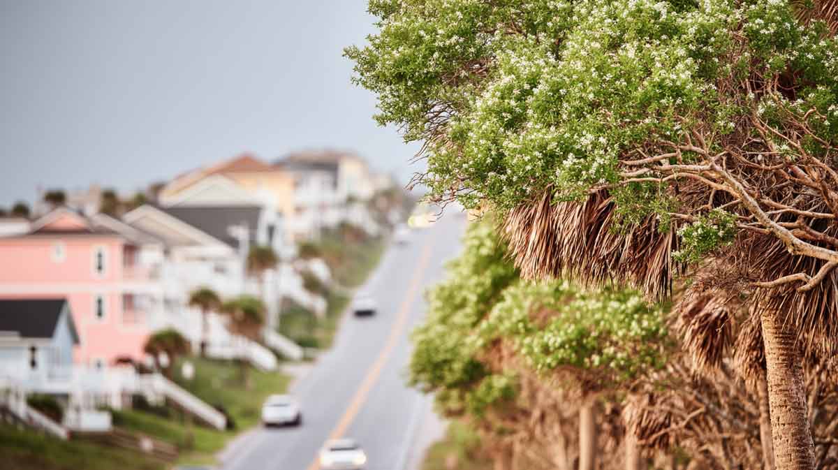 Emergency Hurricane Tree Services in Daytona Beach, FL | Tree Trimming Services in Daytona Beach, FL | Florida Foliage | Tree Removal | Storm Tree Prep in Central FL