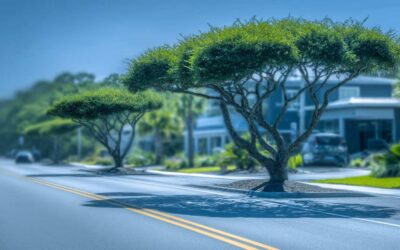 Expert Tree Pruning Near Me in Daytona Beach, FL