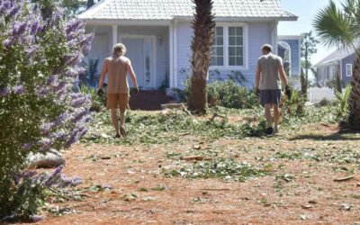 Hurricane Tree Debris Cleanup in Daytona Beach, FL