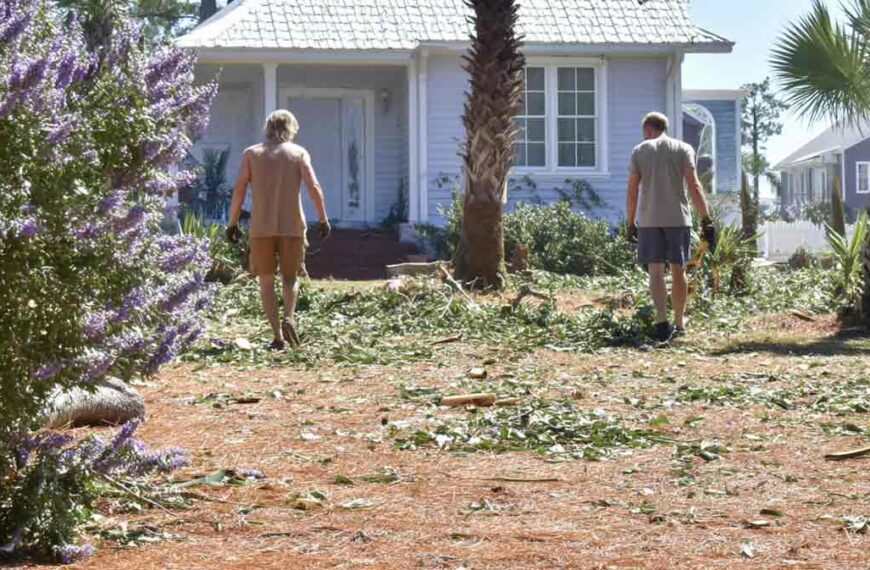 Hurricane Tree Debris Cleanup in Daytona Beach, FL | Tree Trimming Services in Daytona Beach, FL | Florida Foliage | Tree Removal | Storm Tree Prep in Central FL