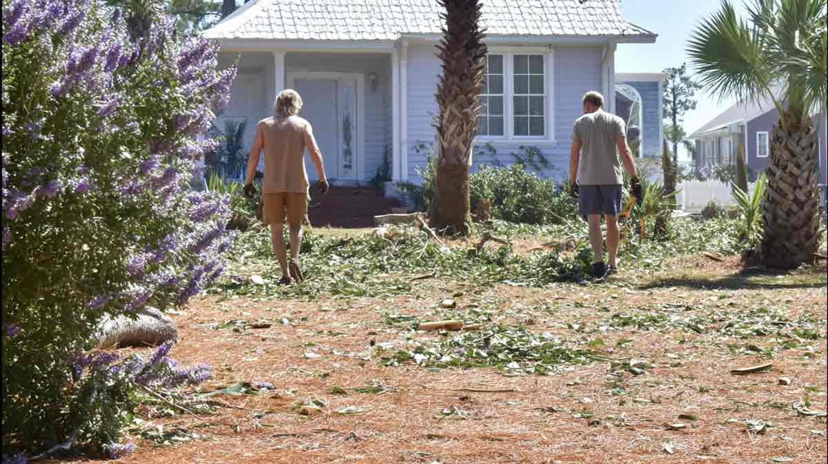 Hurricane Tree Debris Cleanup in Daytona Beach, FL | Tree Trimming Services in Daytona Beach, FL | Florida Foliage | Tree Removal | Storm Tree Prep in Central FL
