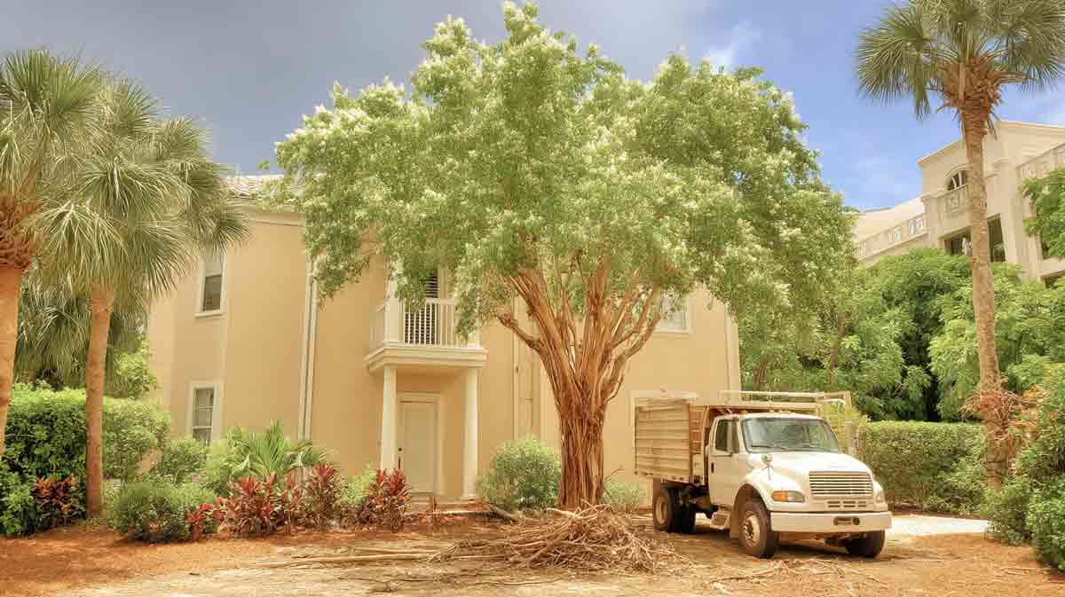 Orlando, FL Tree Removal for Spring | Free Estimates | Tree Trimming Services in Daytona Beach, FL | Florida Foliage | Tree Removal | Storm Tree Prep in Central FL