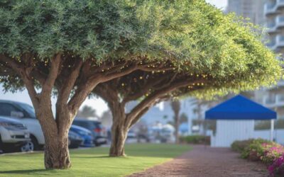 Reliable Tree Trimming Service Near Me: Daytona FL