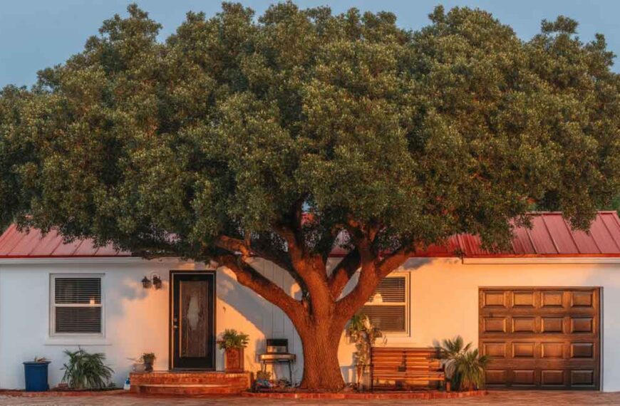 Residential Tree Service Near Me in Daytona Beach, FL | Tree Trimming Services in Daytona Beach, FL | Florida Foliage | Tree Removal | Storm Tree Prep in Central FL