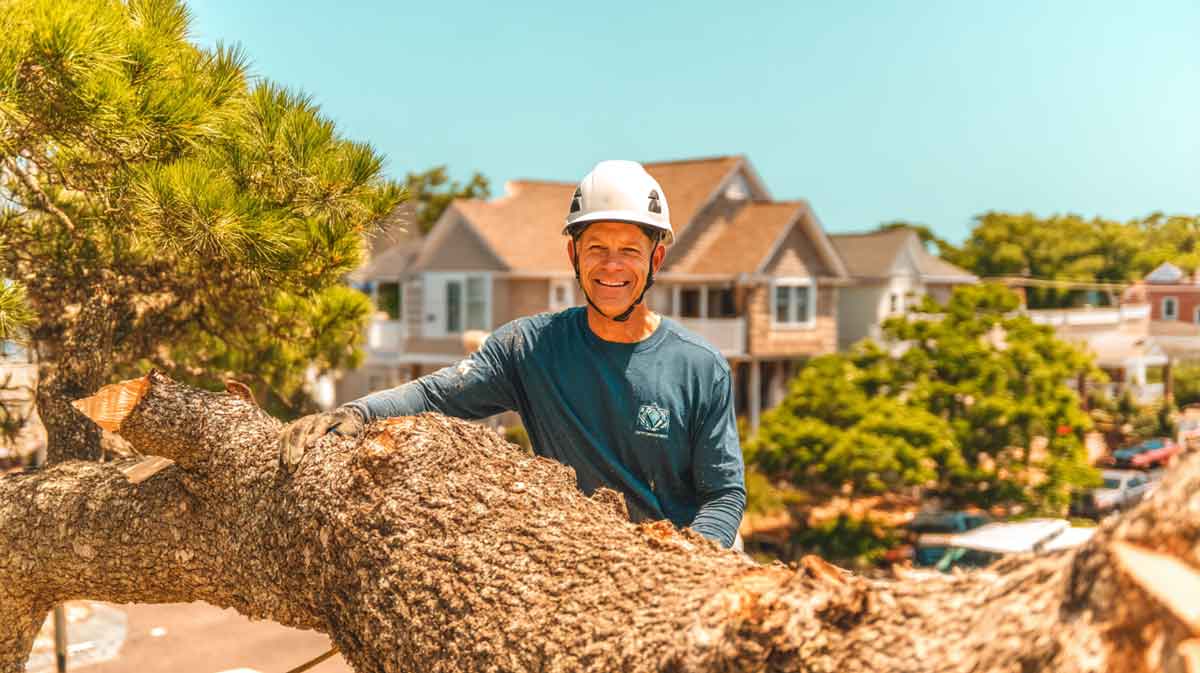 Tree Removal Orange City FL | Licensed & Insured | Tree Trimming Services in Daytona Beach, FL | Florida Foliage | Tree Removal | Storm Tree Prep in Central FL