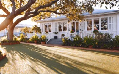 Tree Trimming Port Orange, FL | Trusted Local Experts