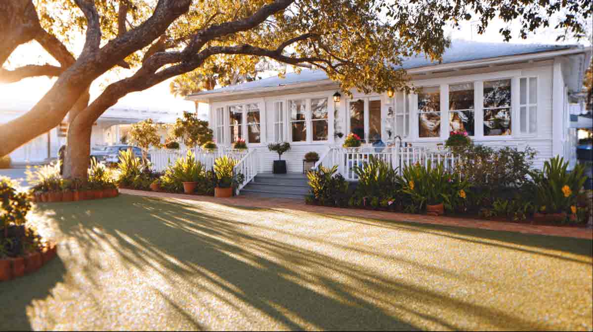Tree Trimming Port Orange, FL | Trusted Local Experts | Tree Trimming Services in Daytona Beach, FL | Florida Foliage | Tree Removal | Storm Tree Prep in Central FL