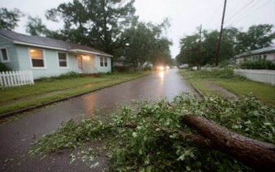 Hurricane Storm Cleanup Services Daytona Beach FL