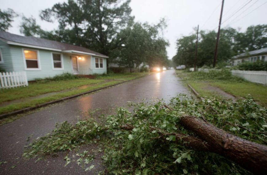 Hurricane Storm Cleanup Services Daytona Beach FL | Tree Trimming Services in Daytona Beach, FL | Florida Foliage | Tree Removal | Storm Tree Prep in Central FL