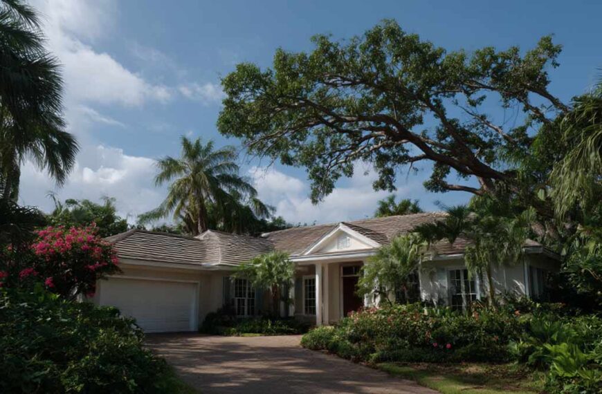 Local Tree Services Near Me in Daytona Beach, FL | Tree Trimming Services in Daytona Beach, FL | Florida Foliage | Tree Removal | Storm Tree Prep in Central FL