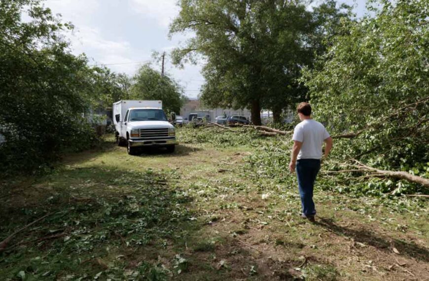 Tree Removal Service Daytona Beach, FL | Tree Trimming Services in Daytona Beach, FL | Florida Foliage | Tree Removal | Storm Tree Prep in Central FL