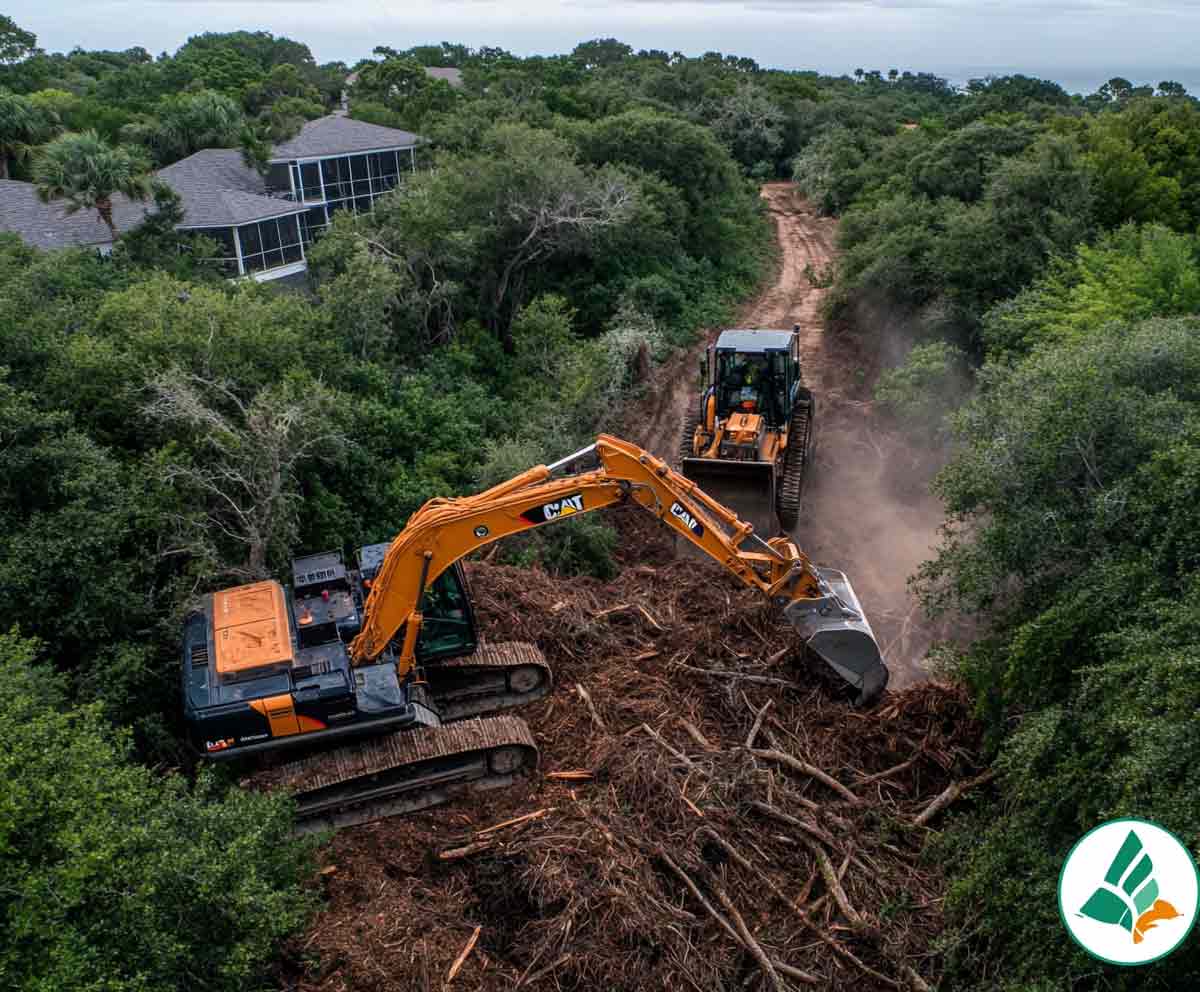 sleuthdesigner_Bulldozer_and_excavator_clearing_dense_brush_a_f2b10e7e-8446-4097-b827-cf459a913083_0 Florida Foliage