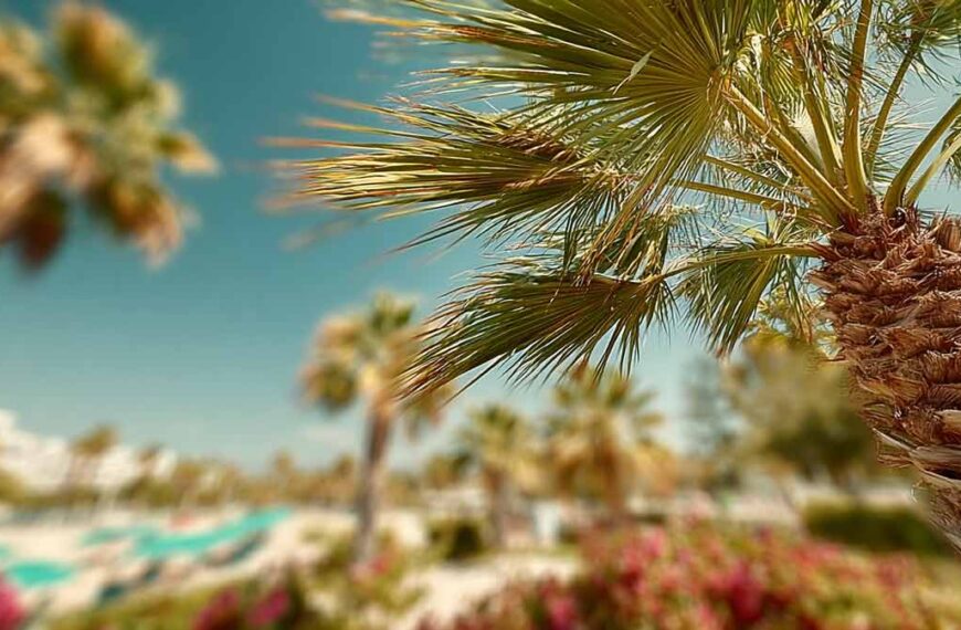Palm Pruning Ormond Beach FL for Residences | Florida Foliage | Tree Removal | Storm Tree Prep in Central FL