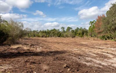 Root Excavation Orange City FL for Utilities